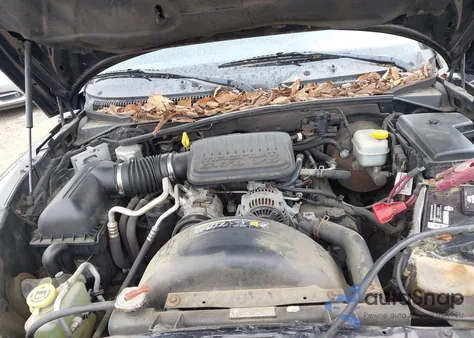 2005 Dodge Dakota Slt z USA, uszkodzony, nr VIN 1D7HW48KX5S161357